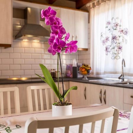 Casa Quintana - Apartamento Carla Tijarafe Ngoại thất bức ảnh
